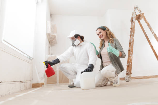 Mold Documentation for Insurance Claims in Deming, NM